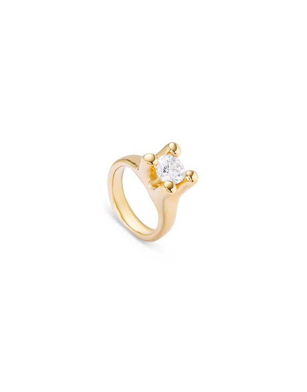 ANIMA RING