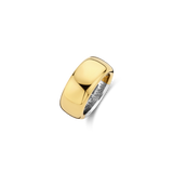 Basic Wide Lustrous Gold Plated Band