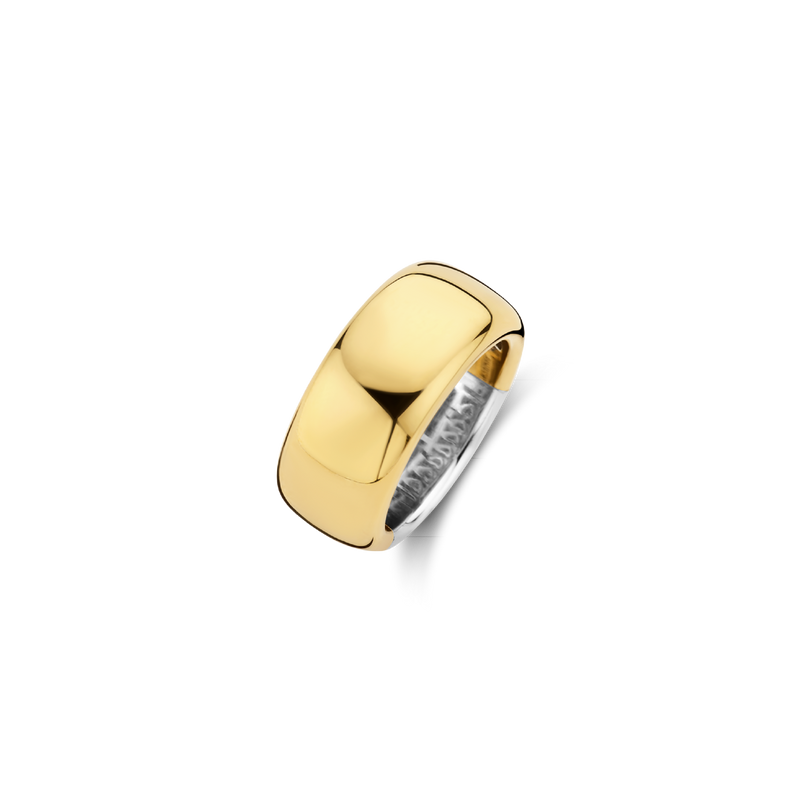 Basic Wide Lustrous Gold Plated Band