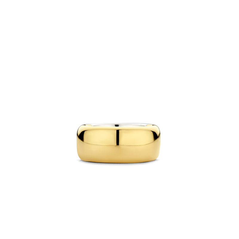 Basic Wide Lustrous Gold Plated Band