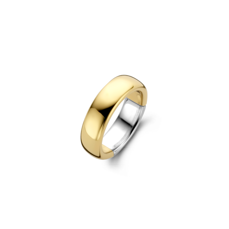 Basic Lustrous Gold Plated Band