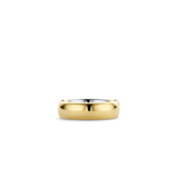 Basic Lustrous Gold Plated Band