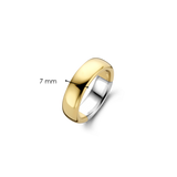 Basic Lustrous Gold Plated Band